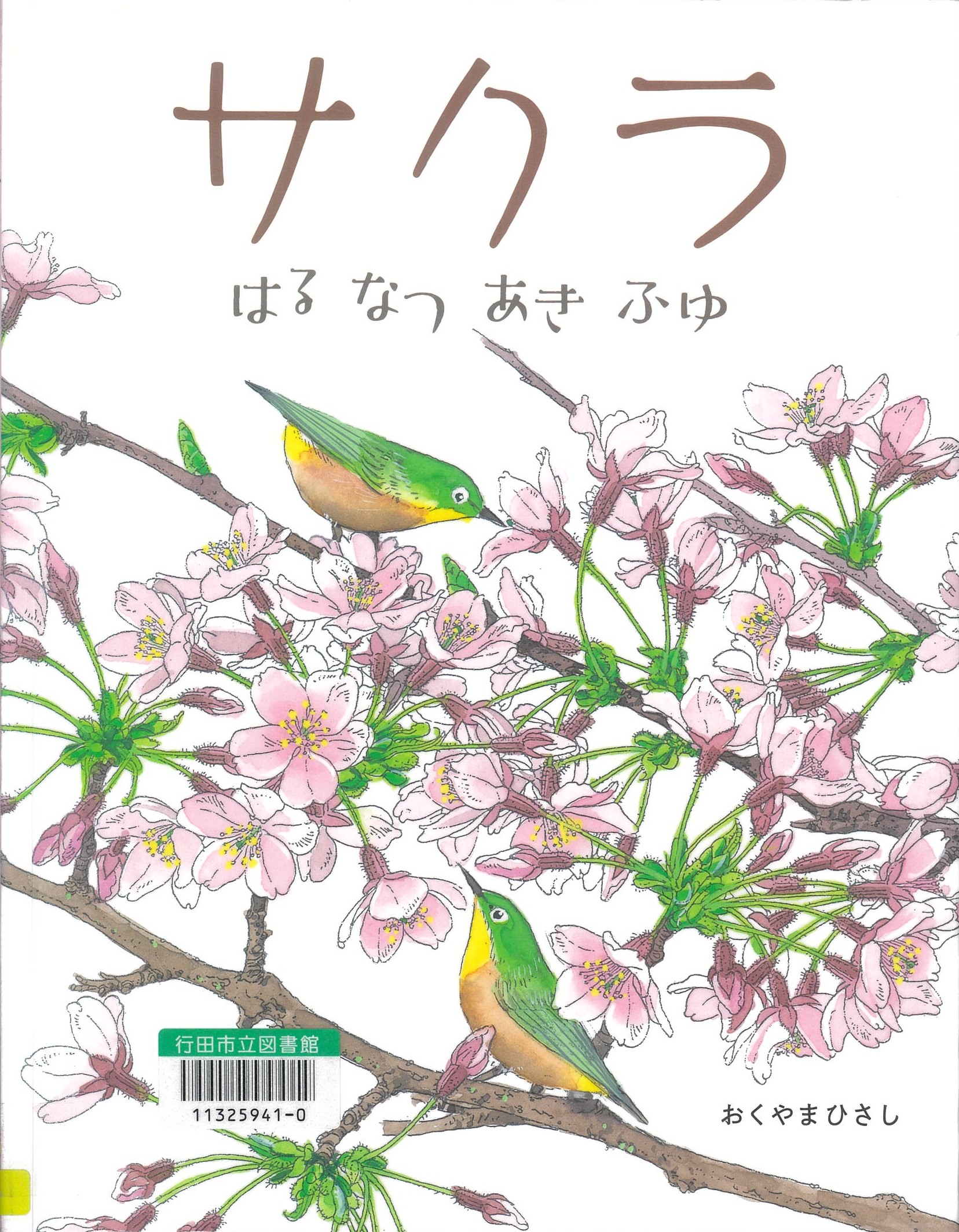 サクタ